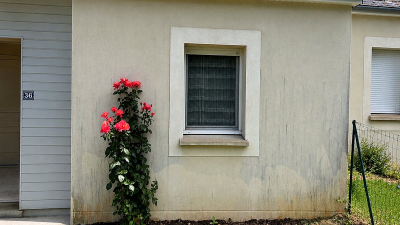 Façade avant nettoyage, traces sombres et algues — chantier Clean Toit 53